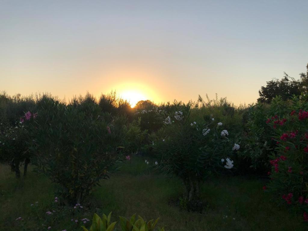 Mantenia Hotel Πλατανές Εξωτερικό φωτογραφία